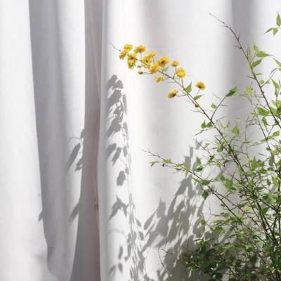 bet官网365app下载1069